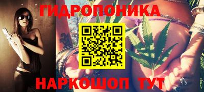 соль ск Лесосибирск